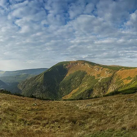 Orzechowy קרפאז'