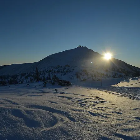 Apartment Orzechowy *