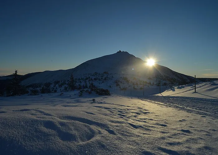 아파트 Orzechowy *