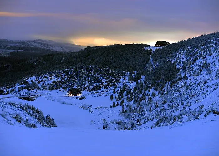 Orzechowy 아파트 카르파츠